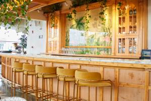 Botanica - Kitchen and Gin Bar